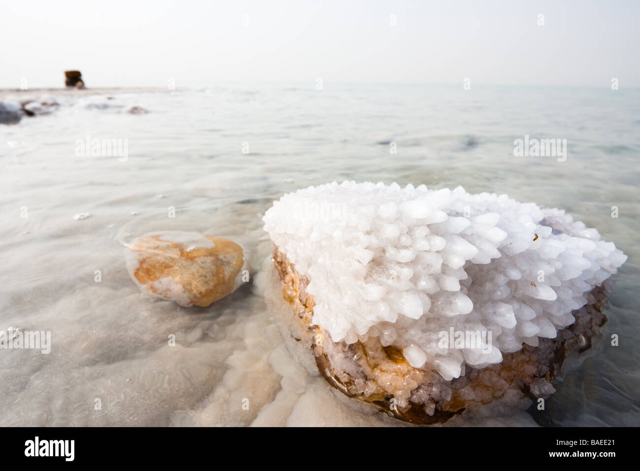 Crystalic sale su una roccia vicino alla spiaggia nel Mar Morto Giordania lato Foto Stock