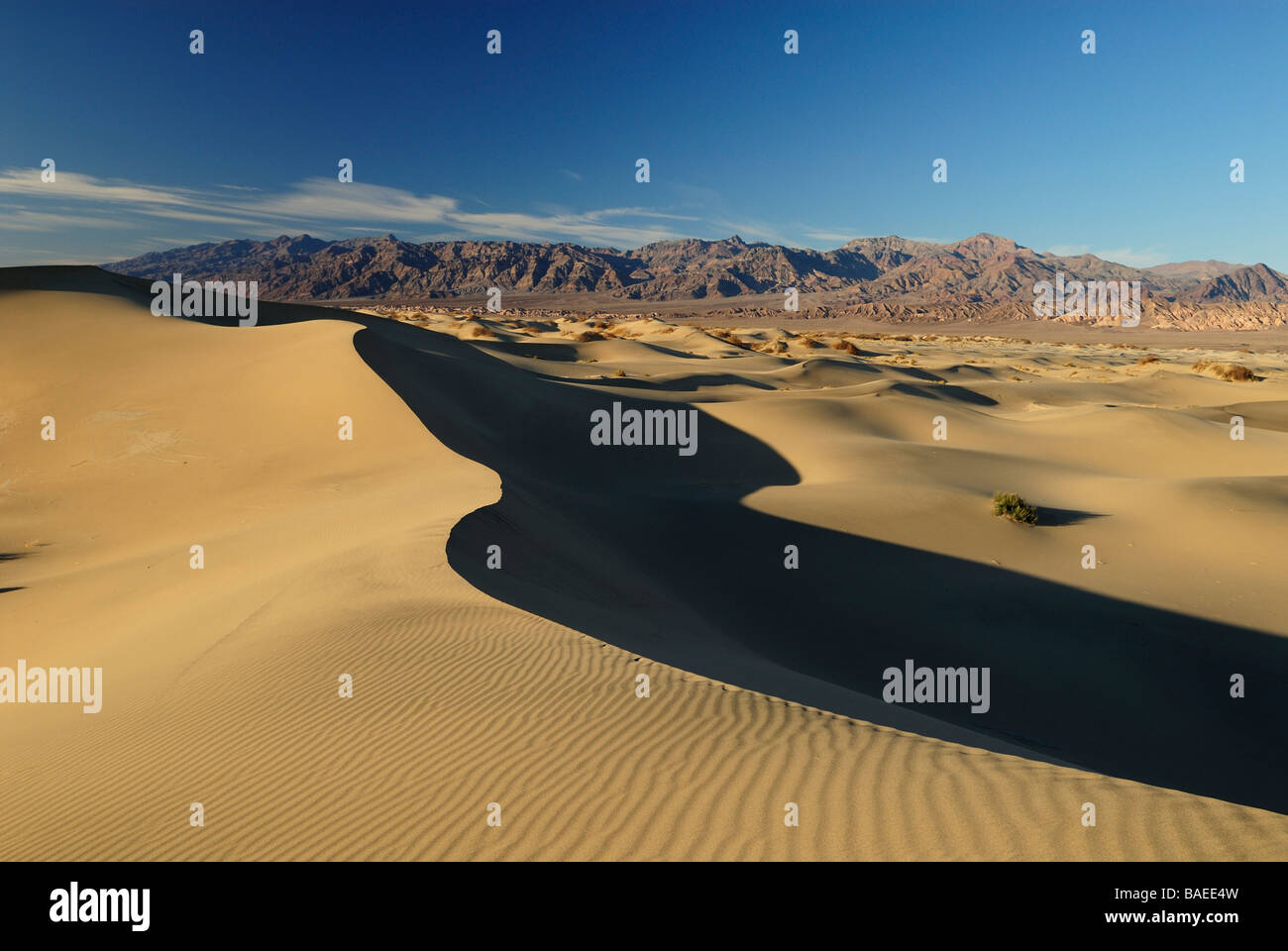 Cresta di una duna di sabbia nella Valle della Morte Foto Stock