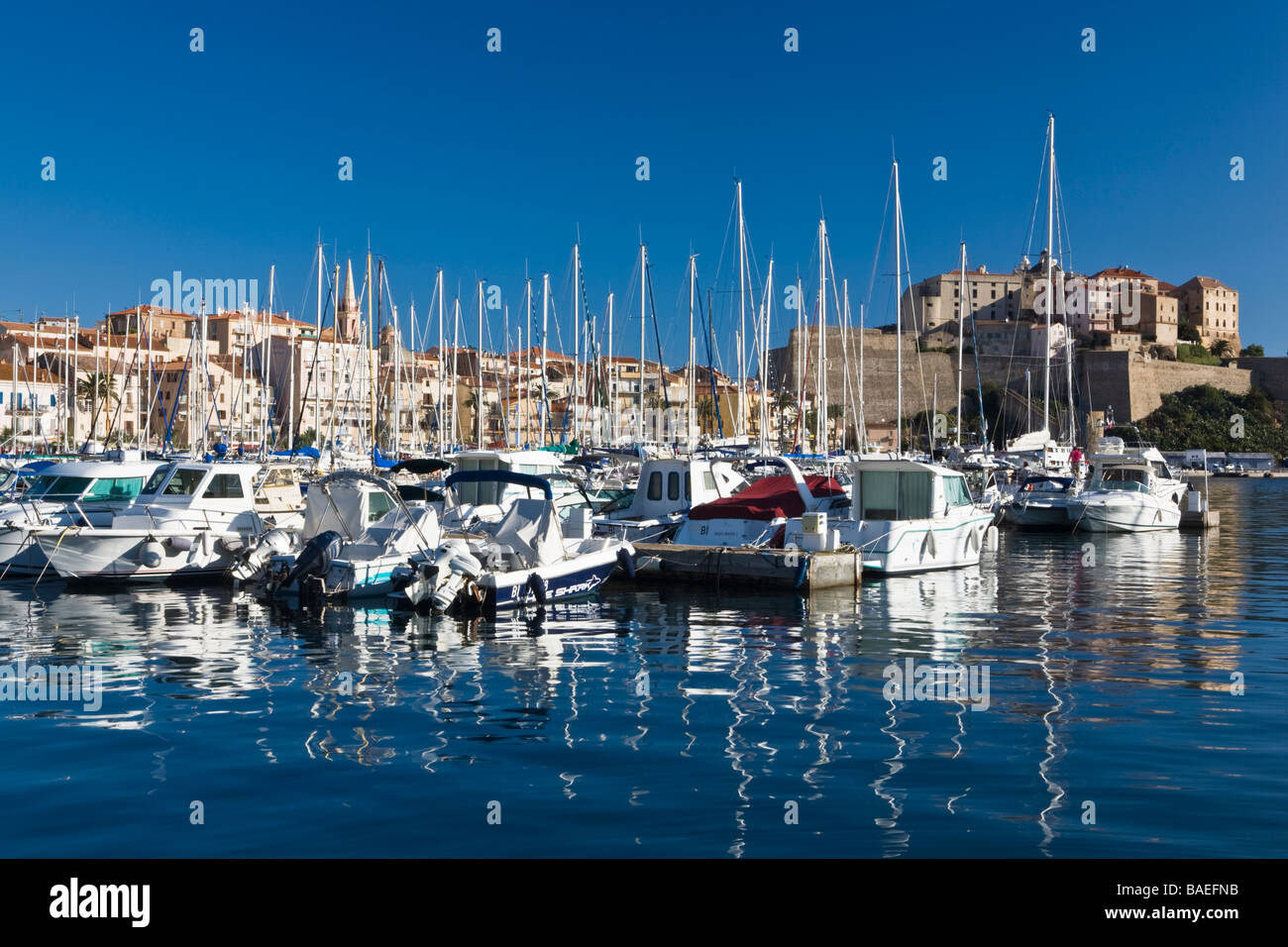 Vista sul porto di chiesa e Ste-Marie Citadelle Calvi Corsica Francia Foto Stock
