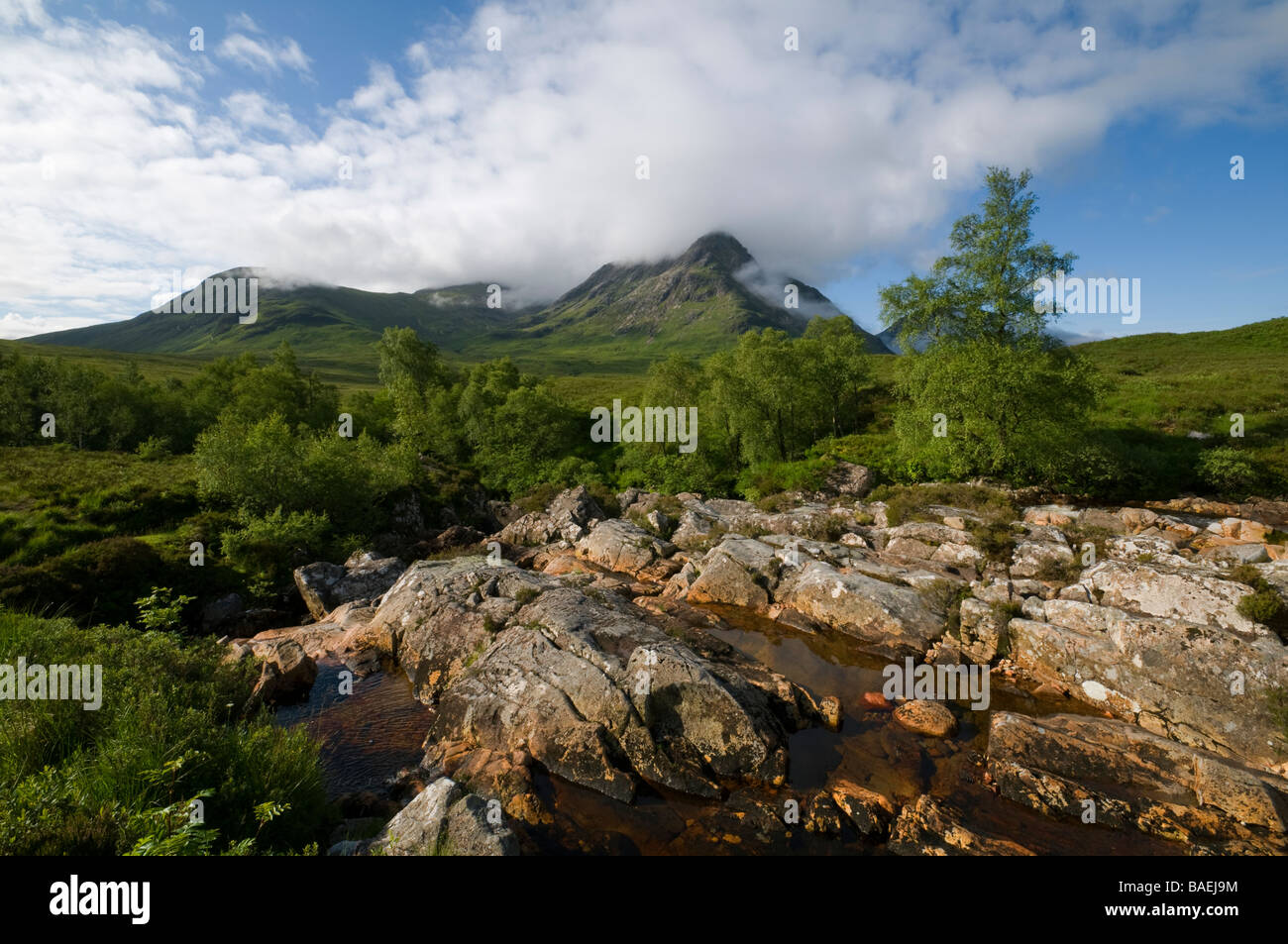 Sron na Creise e la gamma Blackmount da Rannoch Moor, vicino a Glencoe, Highland Region, Scozia, Regno Unito Foto Stock