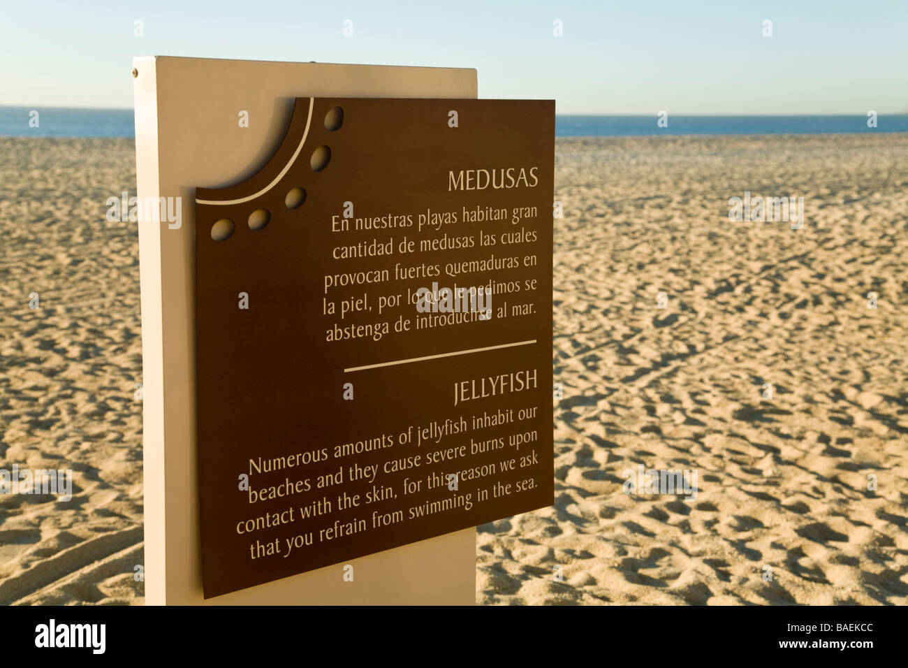 Messico San Jose del Cabo meduse segno di avvertimento sulla spiaggia in inglese e spagnolo Foto Stock