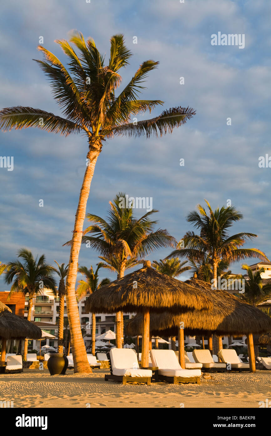 Messico San Jose del Cabo Lounge sedie in fila sulla spiaggia di Cabo Azul resort in inizio di mattina di palme e sabbia capanna con il tetto di paglia Foto Stock