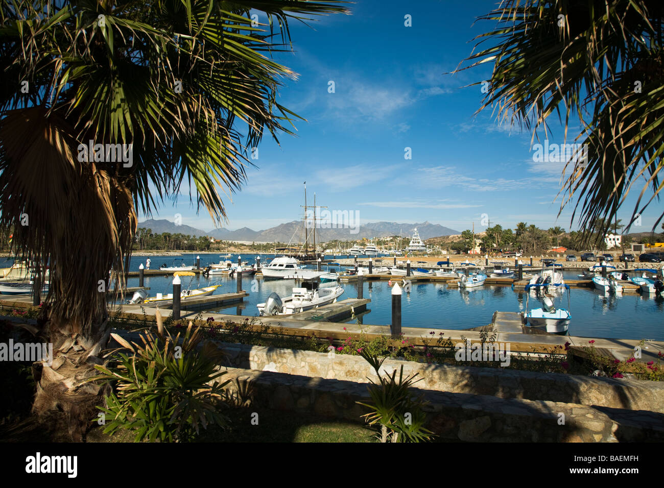 Messico La playita Pangas e pesca barche ormeggiate nel porto marina nella mattina sulle montagne della Sierra de La Laguna Foto Stock