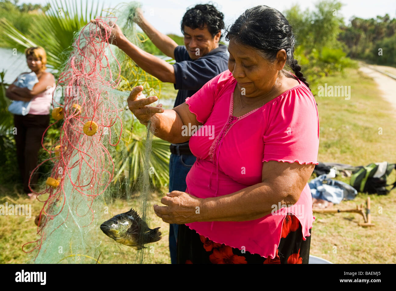 Messico San Jose del Cabo Mexican l uomo e la donna rete di contenimento con pesce pesca nel fiume di acqua dolce che alimenta estuario Foto Stock