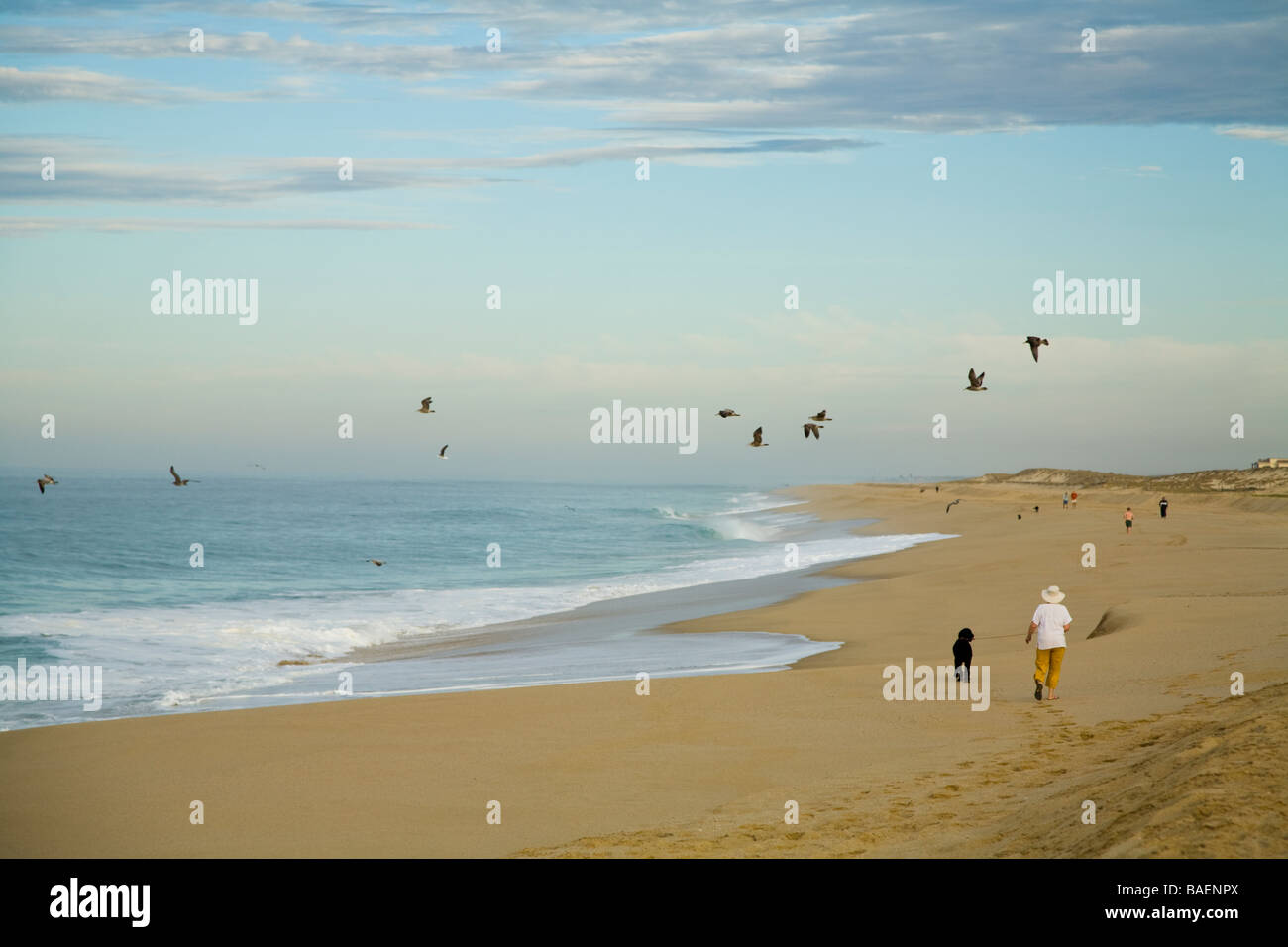 Messico Todos Santos gente camminare lungo l'Oceano Pacifico in mattinata i pellicani che volano e le onde sulla spiaggia di Playa La Cachora Foto Stock