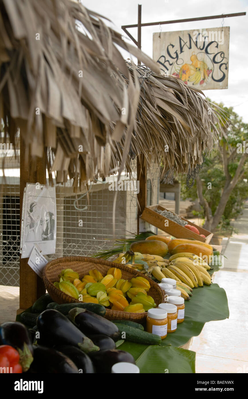 Messico Todos Santos strada stand con vendita di frutta e verdura biologiche nella piccola città del Messico Foto Stock