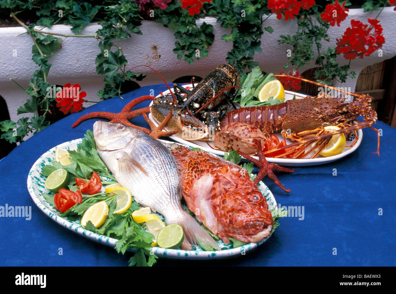Pesci, le Rondinelle ristorante, San Domino island, Isole Tremiti, Puglia,  Italia Foto stock - Alamy