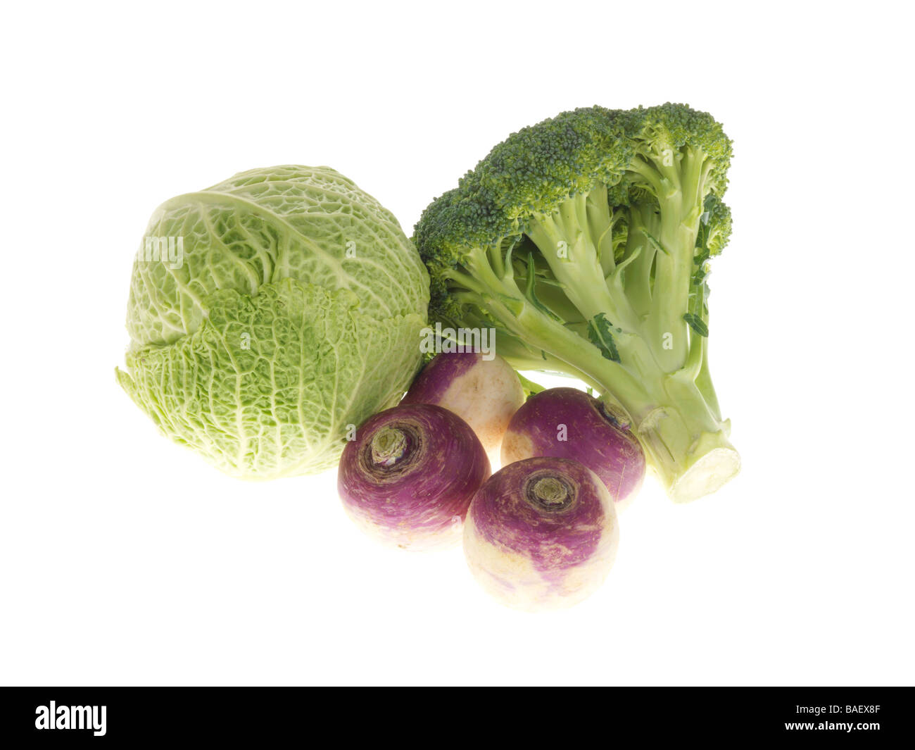 Ortaggi freschi Foto Stock