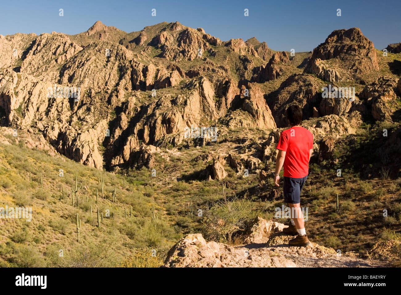 Escursionista a rocky viewpoint - Apache Trail, Arizona Foto Stock