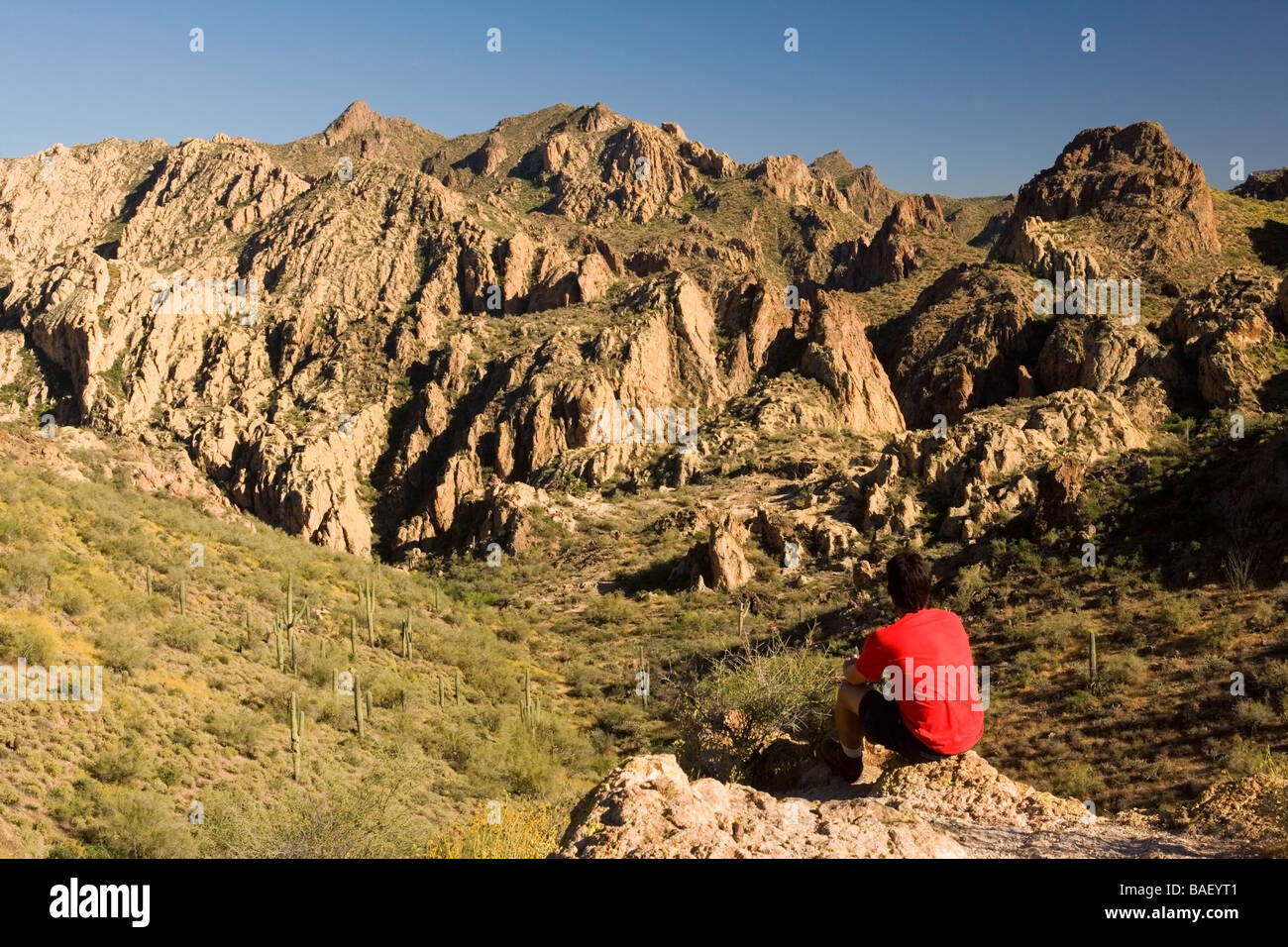 Escursionista a rocky viewpoint - Apache Trail, Arizona Foto Stock
