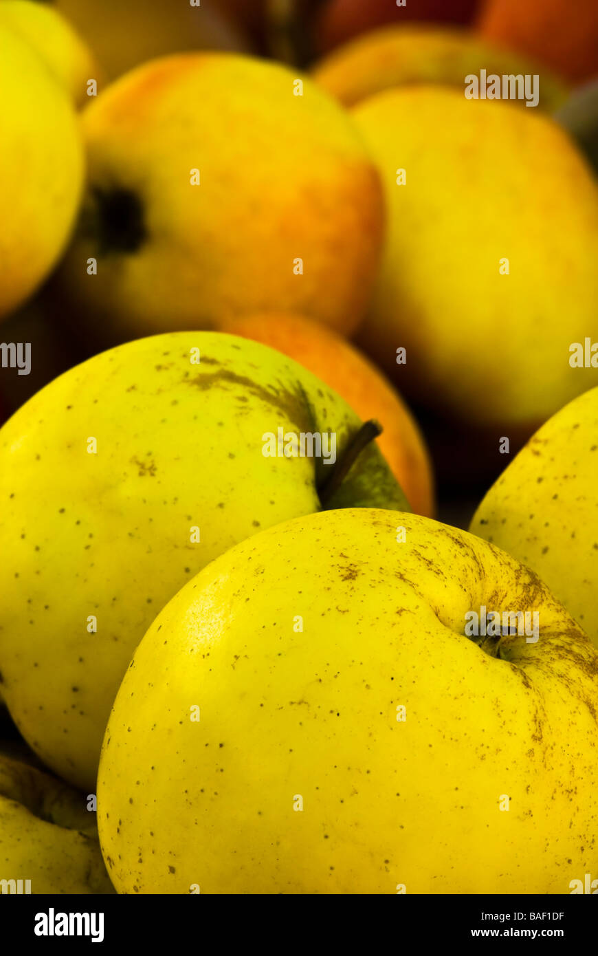 Close up di giallo verdolino le mele, il fuoco selettivo Foto Stock