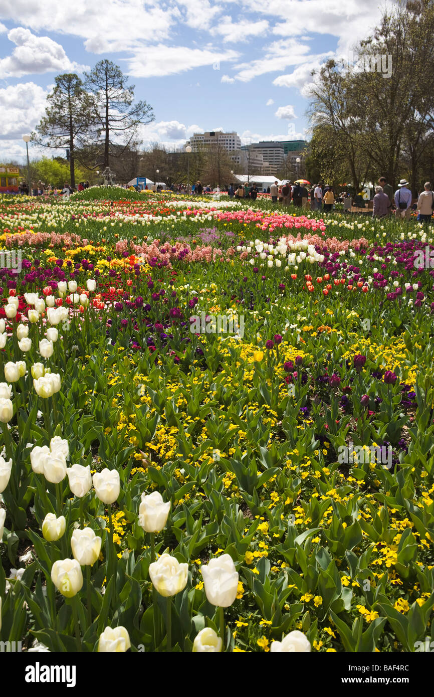 Labirinto floreali, Commonwealth park, Canberra, Australian Capital Territory, Australia Foto Stock