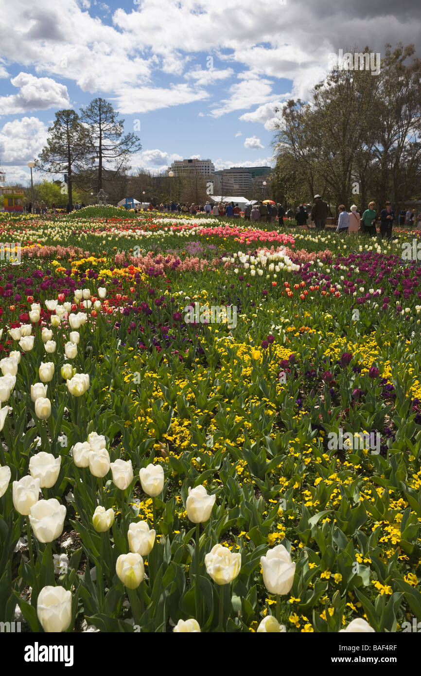Labirinto floreali, Commonwealth park, Canberra, Australian Capital Territory, Australia Foto Stock
