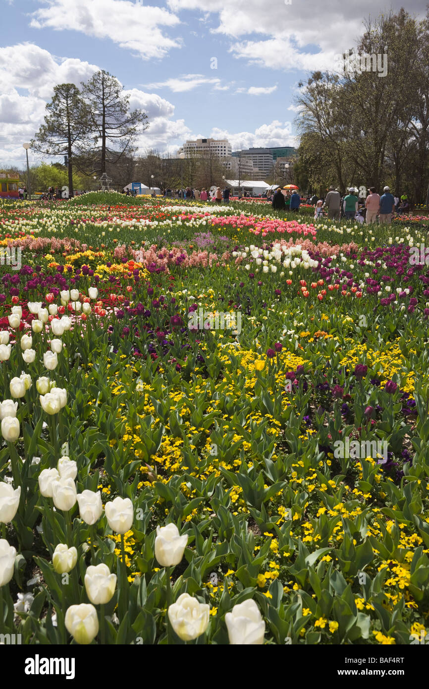 Labirinto floreali, Commonwealth park, Canberra, Australian Capital Territory, Australia Foto Stock