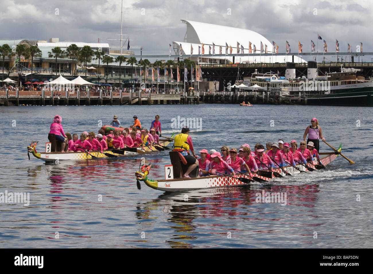 Gara di Dragon Boat, Sydney, Nuovo Galles del Sud, Australia Foto Stock