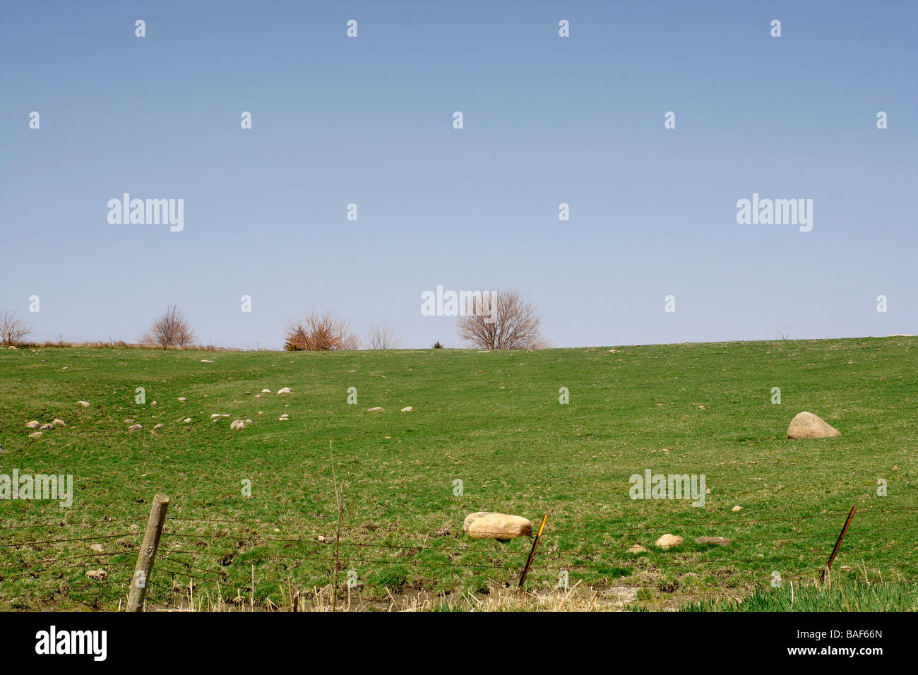 Glaciale di massi erratici in pascolo Butler County Iowa Foto Stock