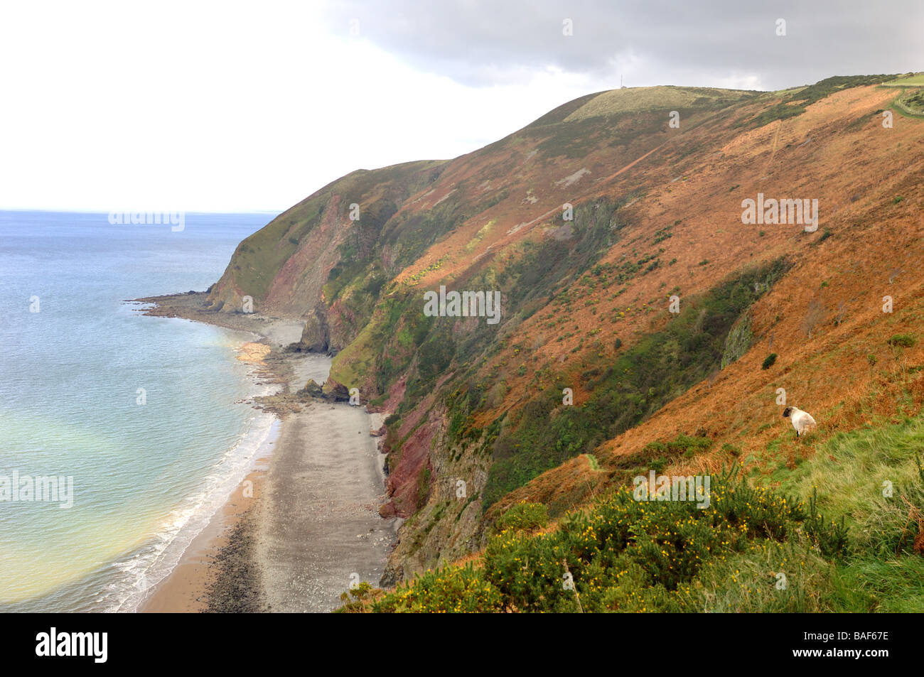 North Devon Coast guardando fuori al punto di Forlí e Parco Nazionale di Exmoor Devon England Foto Stock