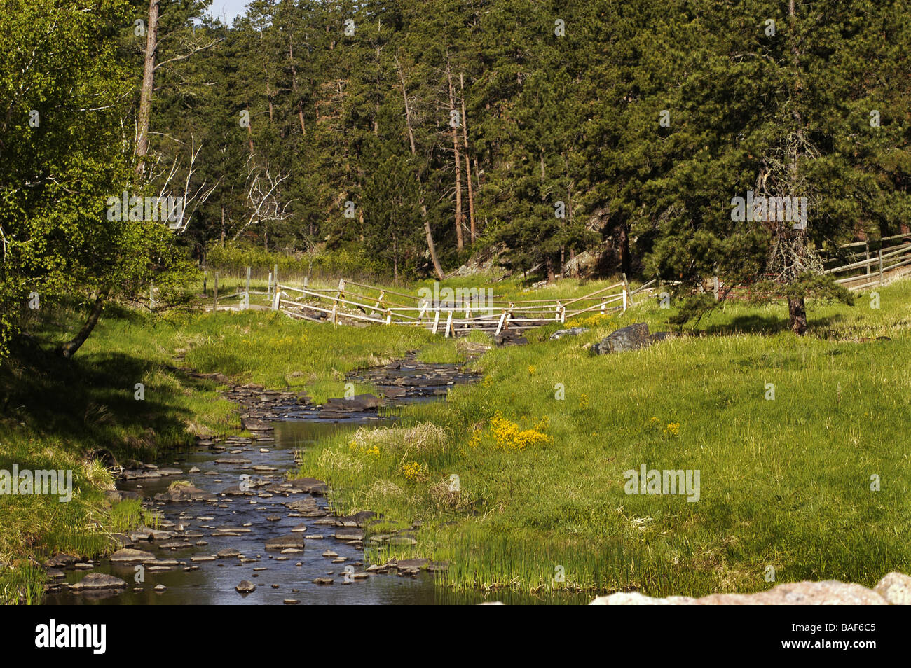 Un sentiero che attraversa un ruscello di montagna Foto Stock