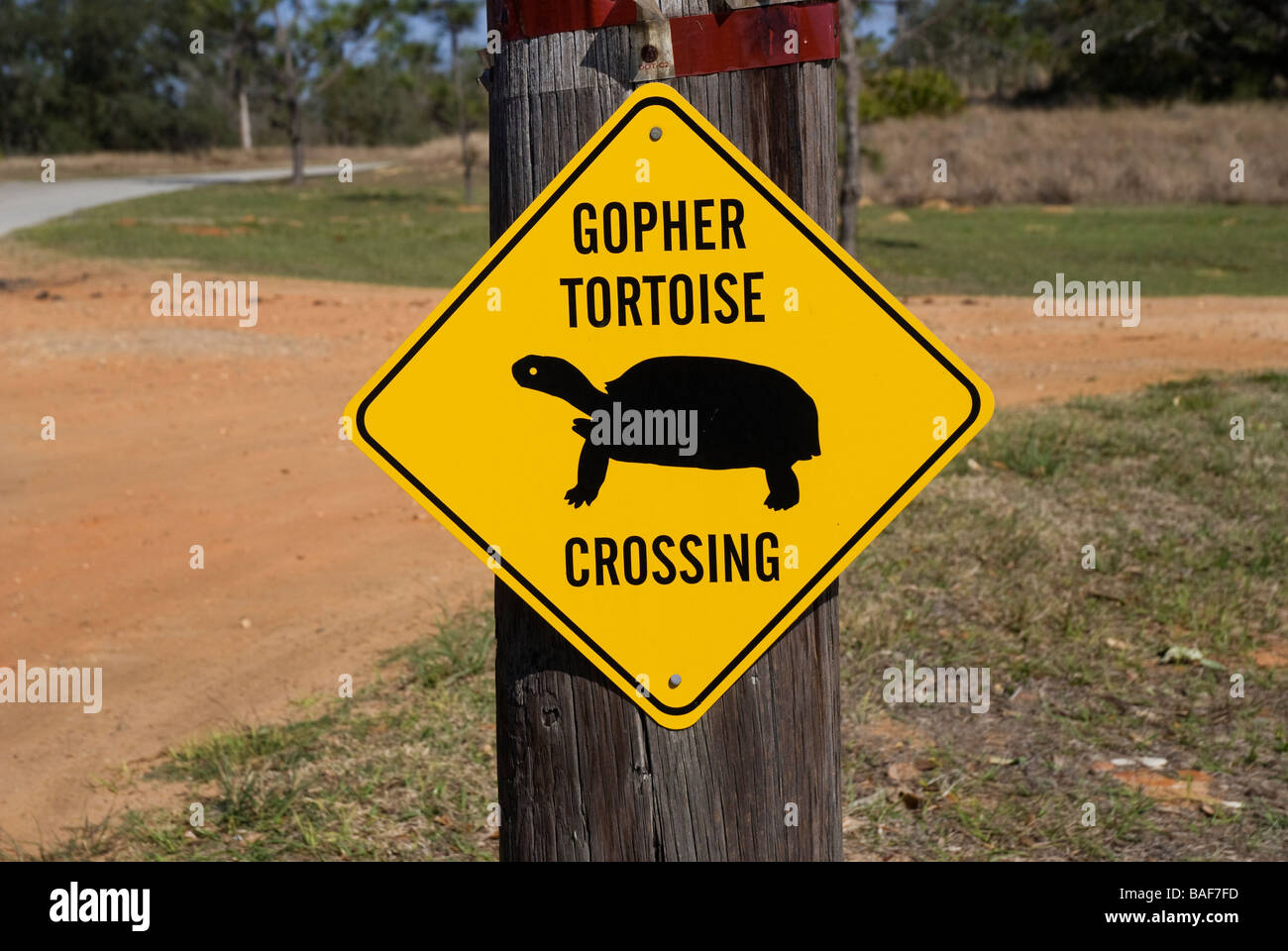 In via di estinzione gopher attraversamento tartaruga segno a Bok Tower Gardens Pietra Miliare Storica Nazionale Lake Wales Florida Foto Stock