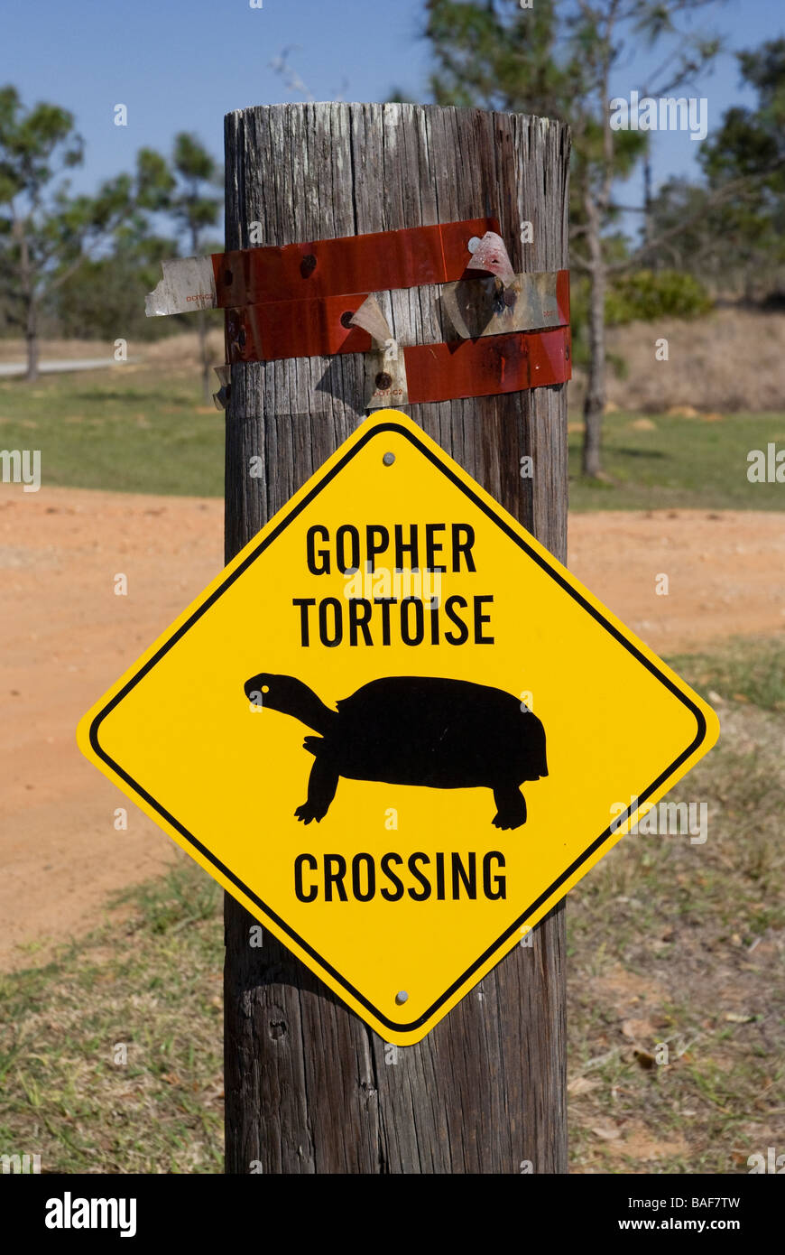 In via di estinzione gopher attraversamento tartaruga segno a Bok Tower Gardens Pietra Miliare Storica Nazionale Lake Wales Florida Foto Stock