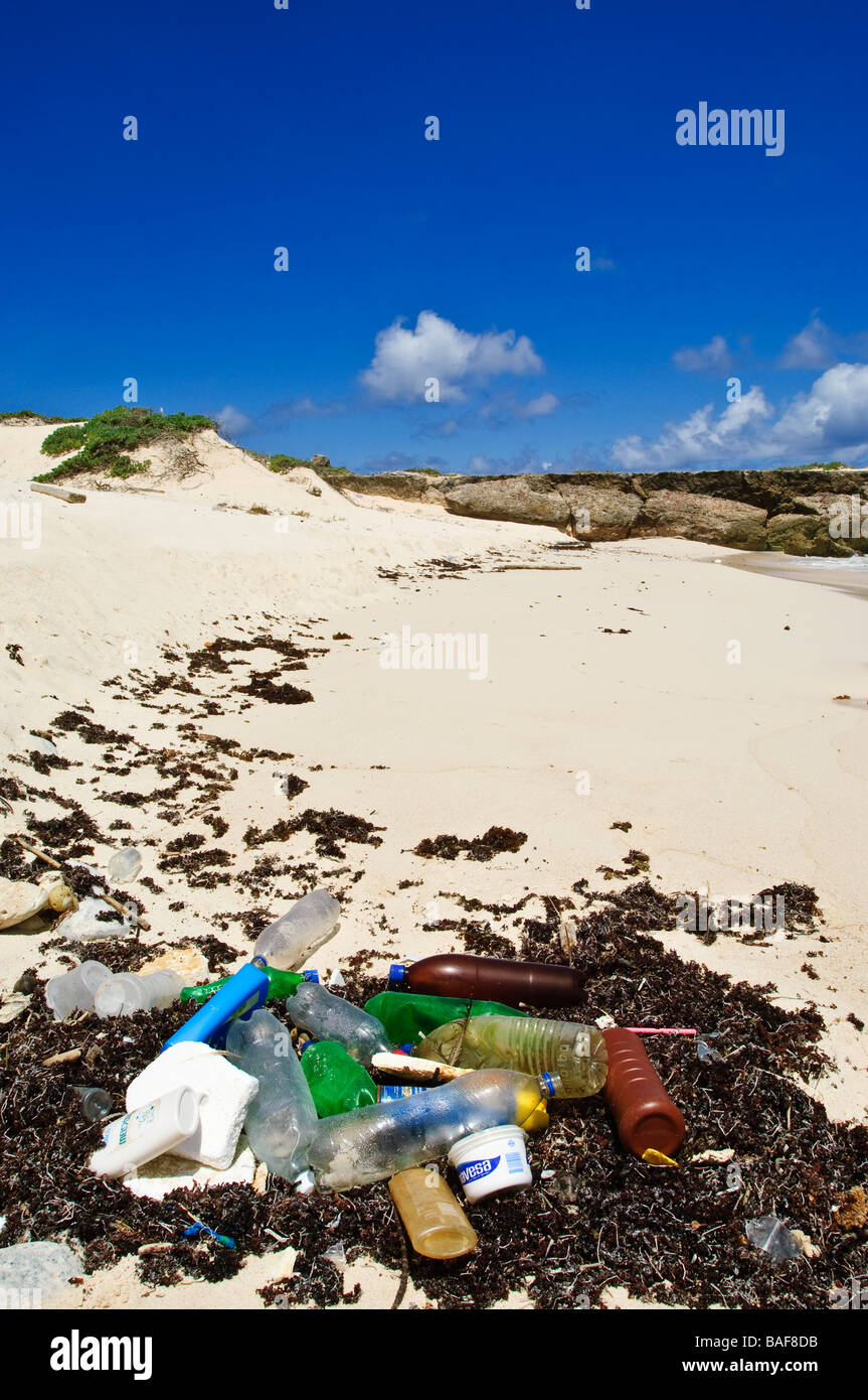 Flotsam sulla spiaggia Bonaire Foto Stock