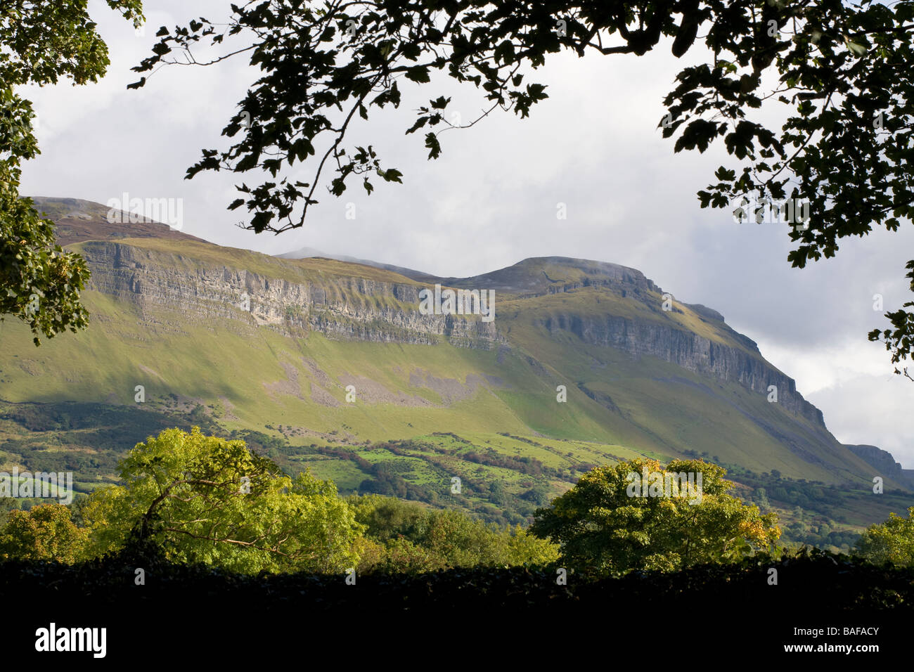 Ben Bulbin massiccio. La caratteristica forma di Ben Bulbin torreggia sopra la campagna Drumcliff. Ben Bulbin o Benbulbin Foto Stock