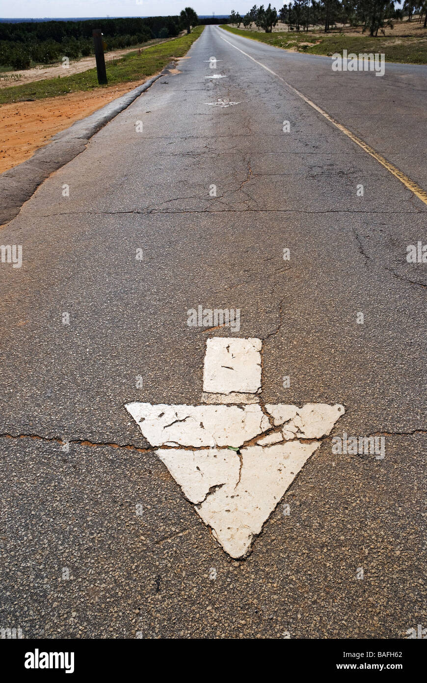 Freccia su strada segno Lake Wales Florida Foto Stock