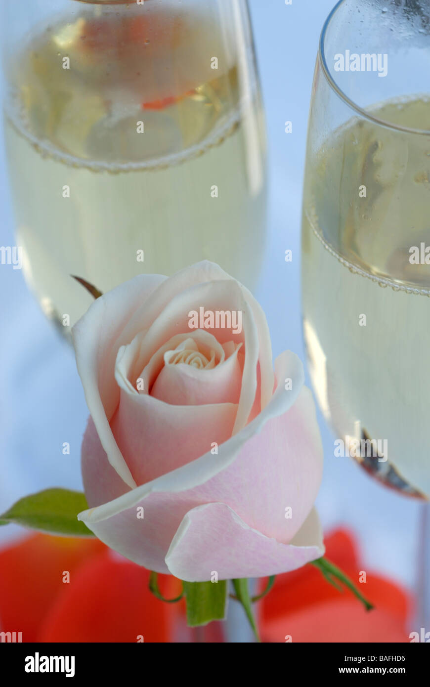 Calice champagne Leandros 54cl in vetro per bar e ristoranti (PZ.1