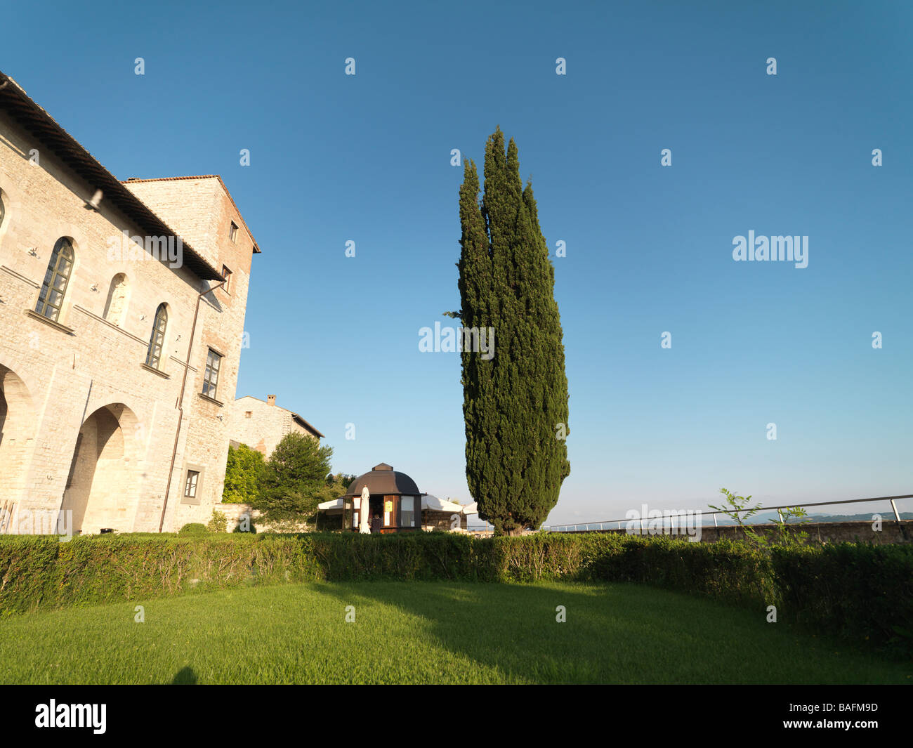 Un albero in cantiere nella città di Gubbio è una città della regione Umbria e si siede sul bordo del Monte Ingino. Foto Stock