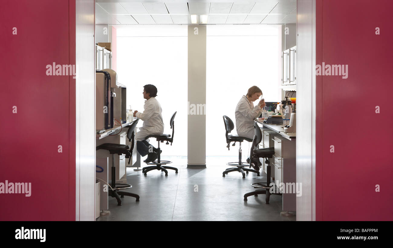Imperial College London, Londra, Regno Unito, Sheppard Robson, Imperial College di Londra 5Th Floor open lab. Foto Stock
