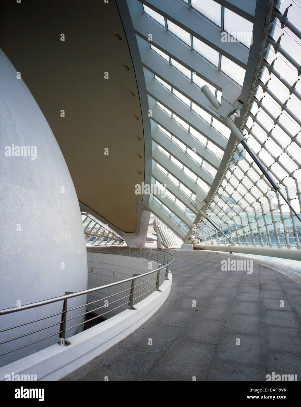 Città delle Arti e delle Scienze di Valencia (Spagna), Santiago Calatrava, Città delle arti e delle scienze all'interno di la"mostrando emisferica Foto Stock