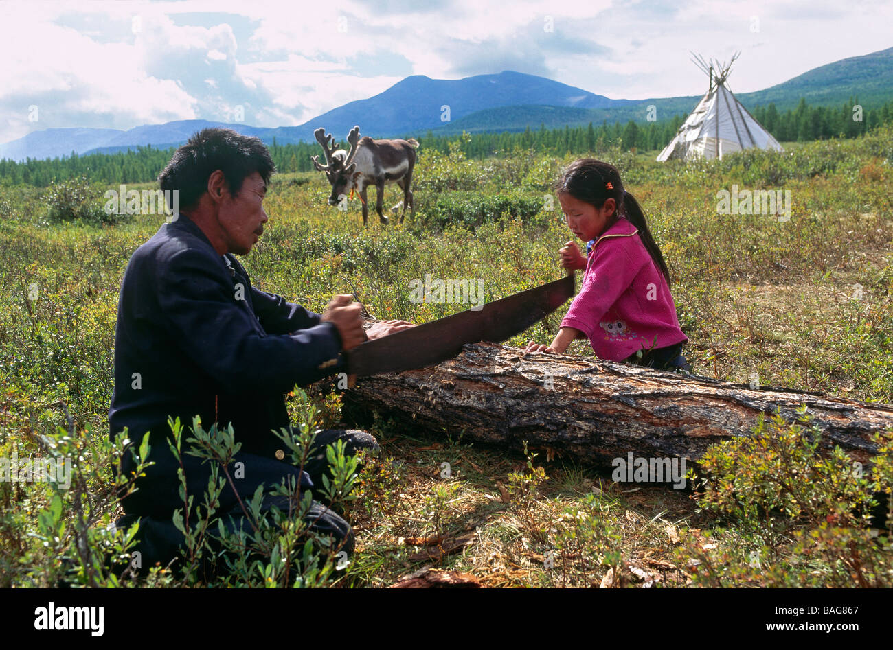 Mongolia, Khovsgol Provincia, rosso taiga, Tsaatan, padre e figlia segagione di un registro Foto Stock