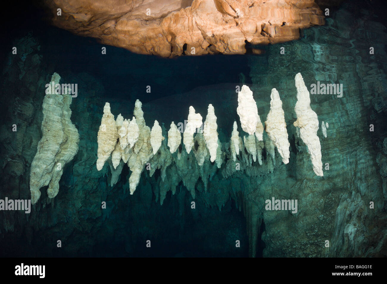 Sommozzatore in lampadario Grotta Dripstone Micronesia Palau Foto Stock