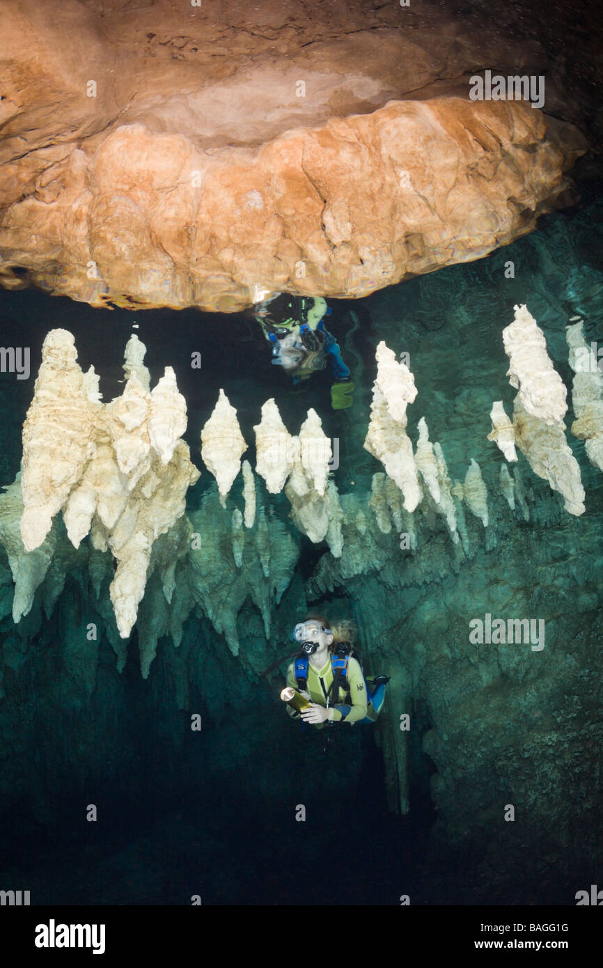 Sommozzatore in lampadario Grotta Dripstone Micronesia Palau Foto Stock