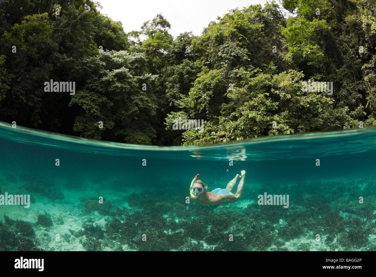 Lo snorkeling in Rock Islands Risong Bay Micronesia Palau Foto Stock