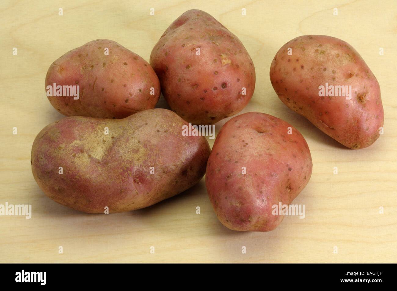 Patata (solanum tuberosum), varietà: Cherie, studio immagine Foto Stock