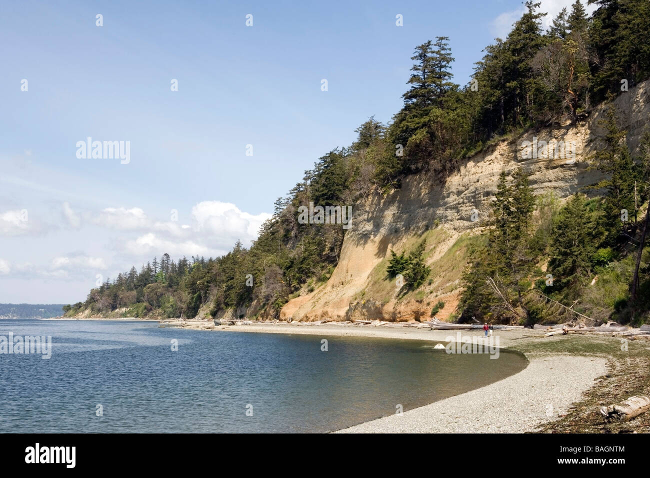 Accoppiare cani a piedi lungo il litorale - Camano Island State Park, Washington Foto Stock
