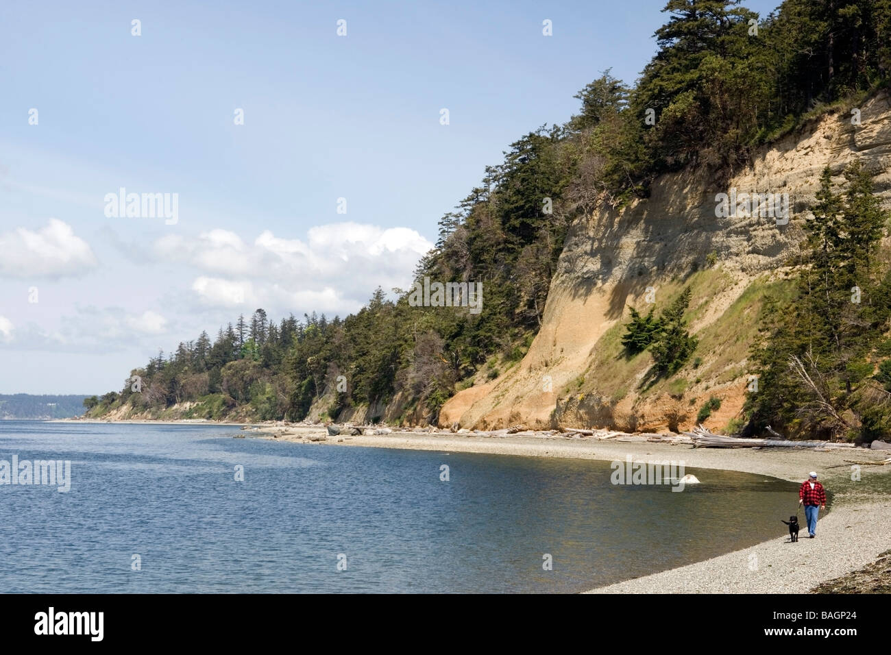 Accoppiare cani a piedi lungo il litorale - Camano Island State Park, Washington Foto Stock