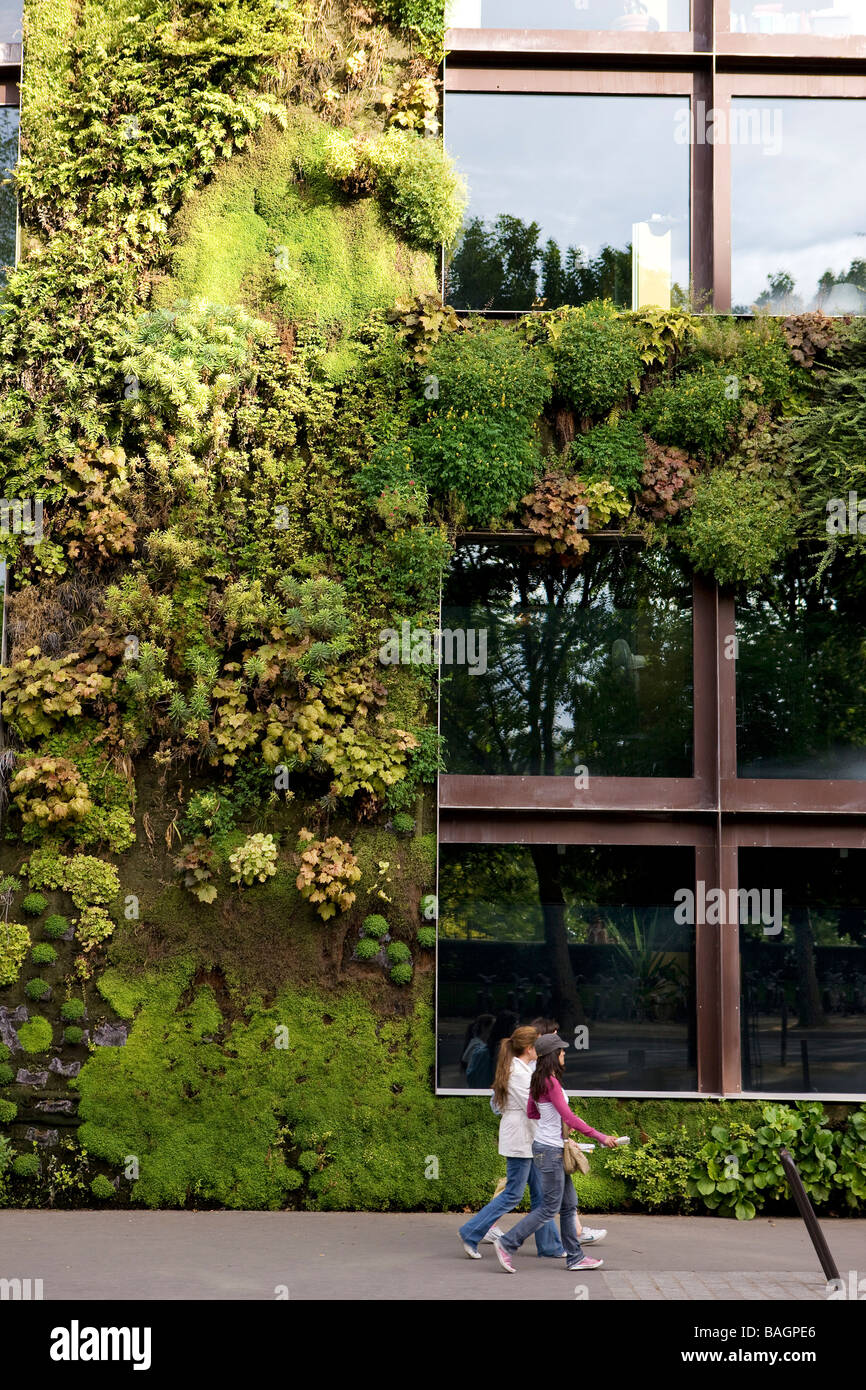 Francia, Parigi, Musée du Quai Branly, muro vegetale realizzato da Patrick Blanc Foto Stock