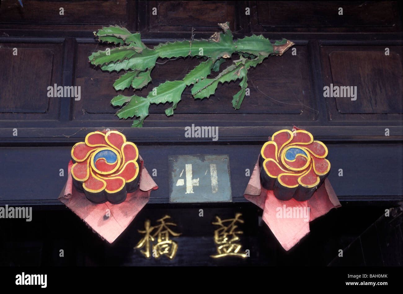 Il Vietnam, Quang Nam Provincia, Hoi An, il dettaglio di una porta, cactus di diramazione e di yin yang occhi per allontanare gli spiriti maligni Foto Stock