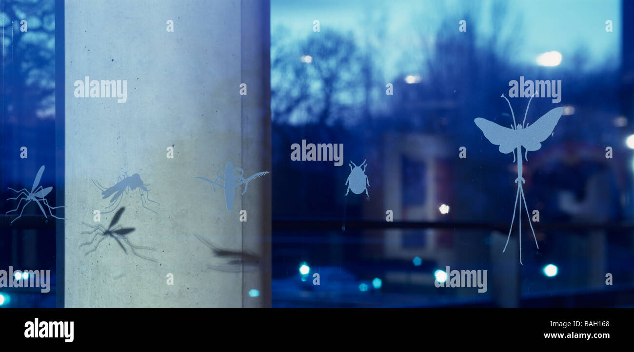 River and Rowing Museum, Henley on Thames, Regno Unito, David Chipperfield, River and Rowing Museum River and Rowing Museum Foto Stock