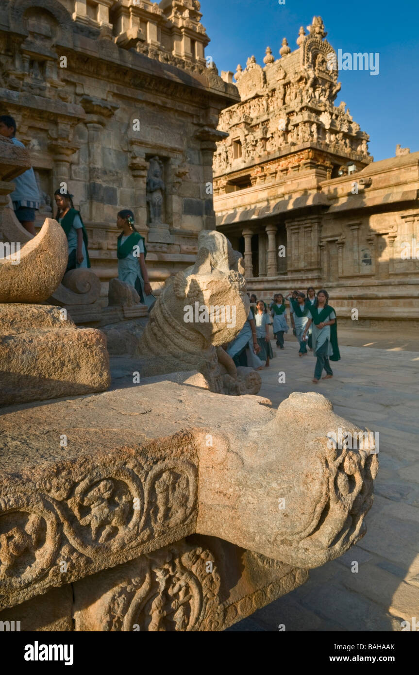 Tempio Airavateshwarar Darasuram Tamil Nadu India Foto Stock