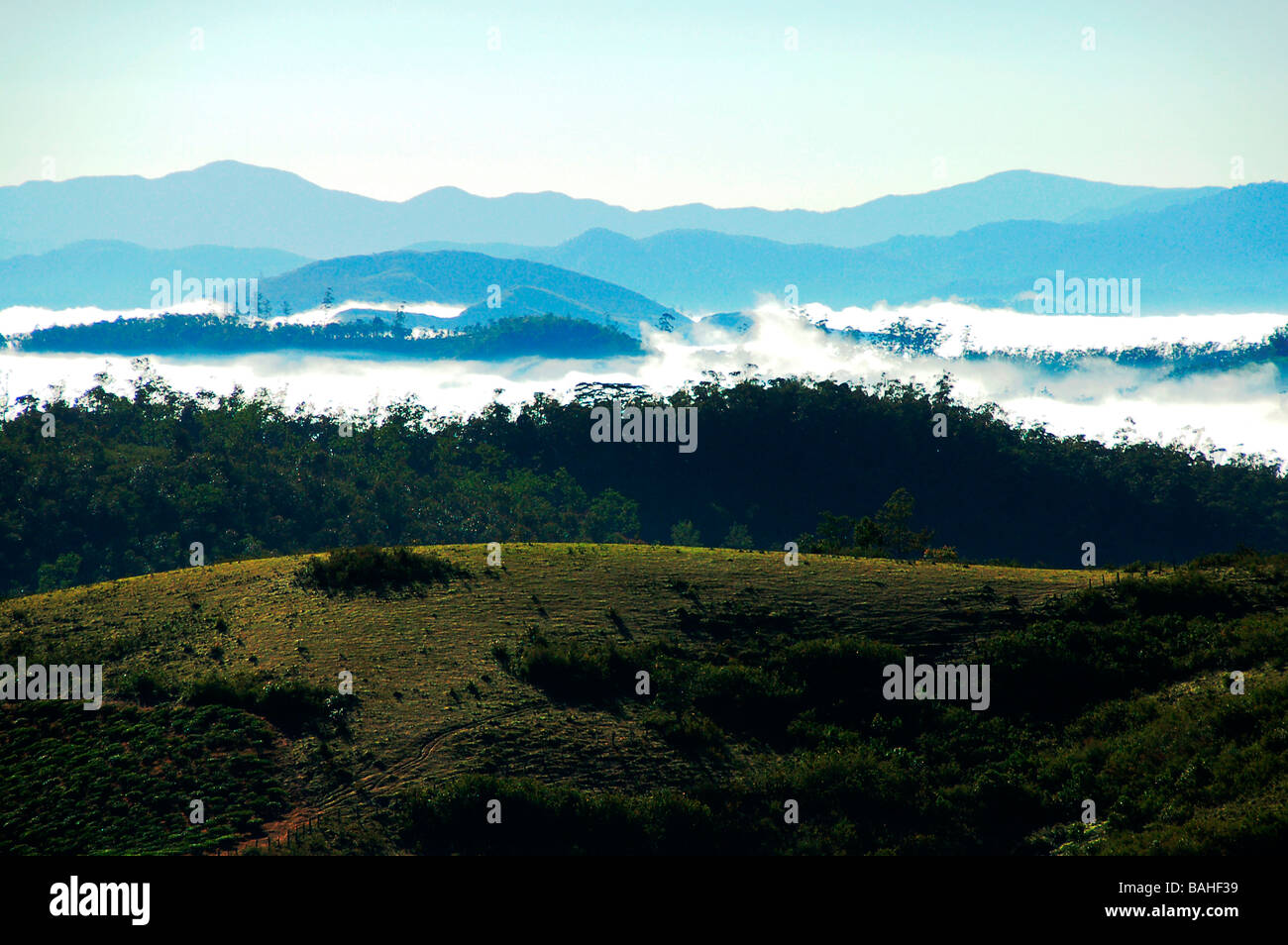 Vista da Parunthu para vicino peeru medu,Idukki,kerala Foto Stock
