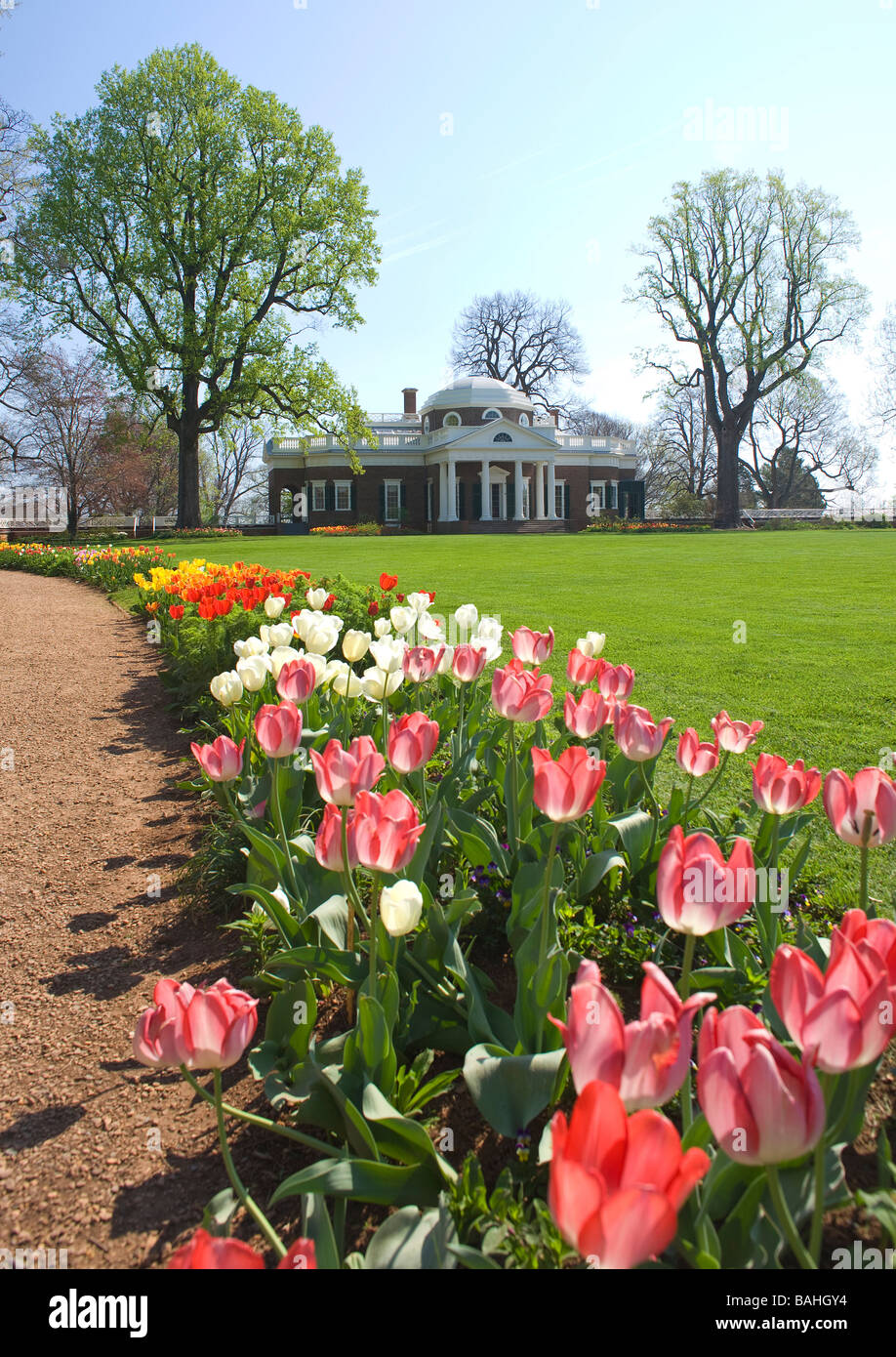 Gli Stati Uniti terzo presidente Thomas Jefferson ha edificato la sua casa Monticello ai piedi delle colline di Albemarle County, Virginia. Foto Stock