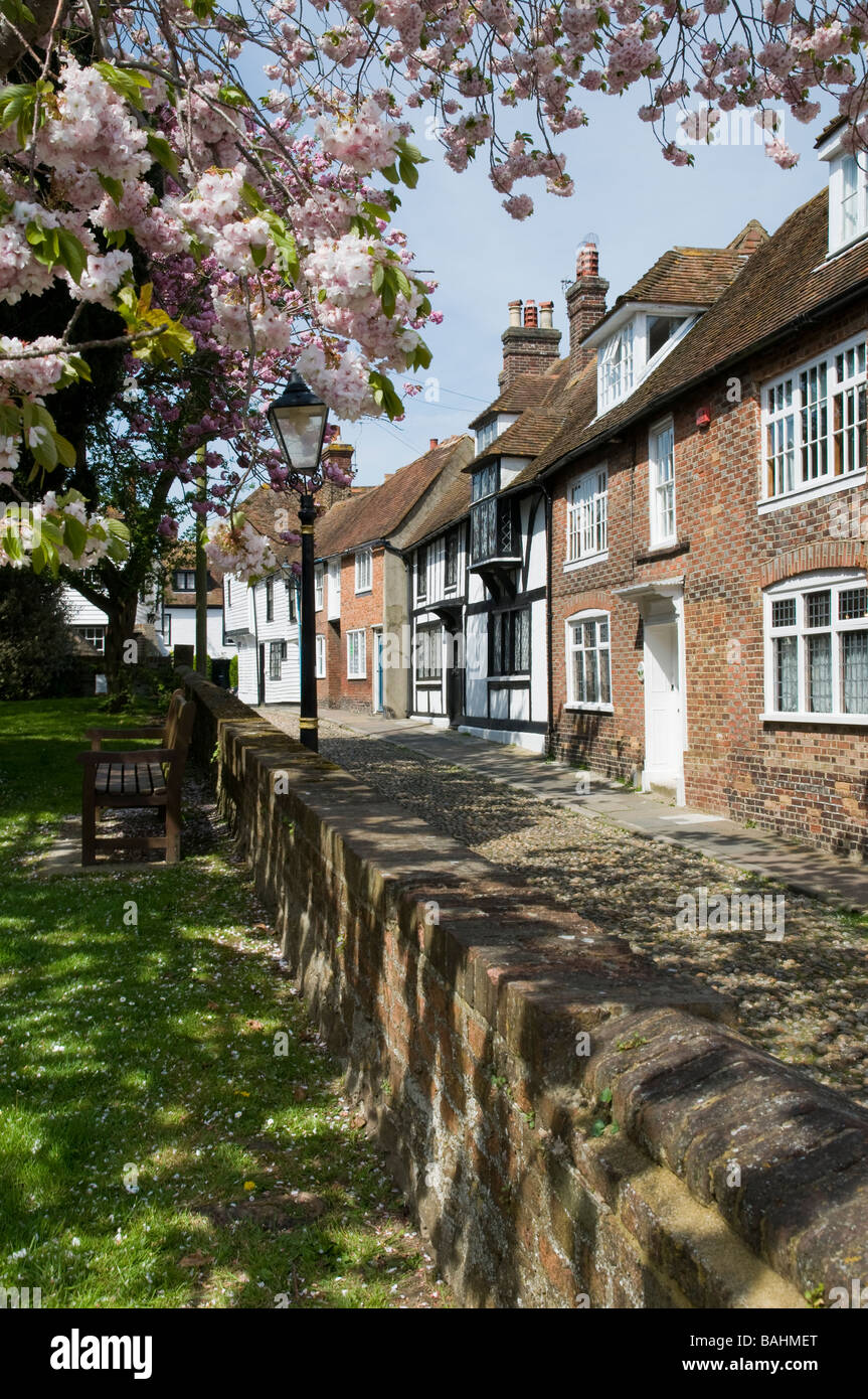 Una strada di ciottoli e il ciliegio in fiore di segale, East Sussex, Inghilterra Foto Stock