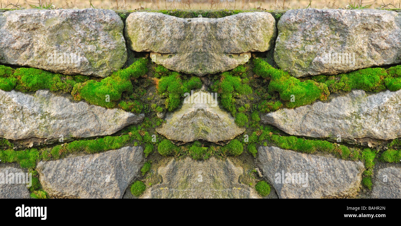 Muro di pietra diventando su verde muschio per lo sfondo Foto Stock