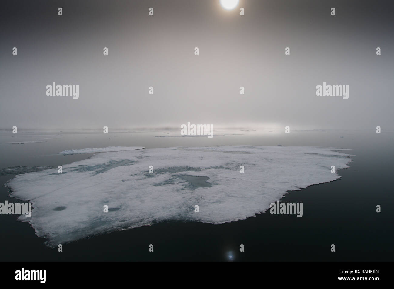 Arctic estate foggy viste nel nord Svalbard Foto Stock