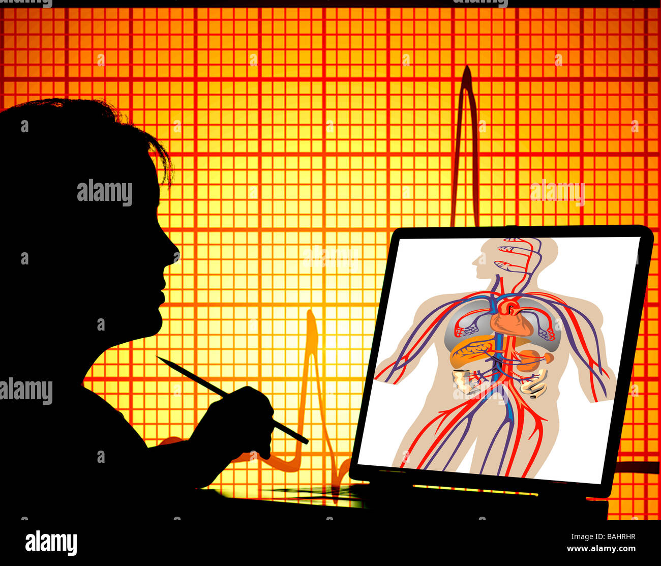 Artista femminile con illustrazione vettoriale di umana sistema arterioso sul monitor del computer Foto Stock