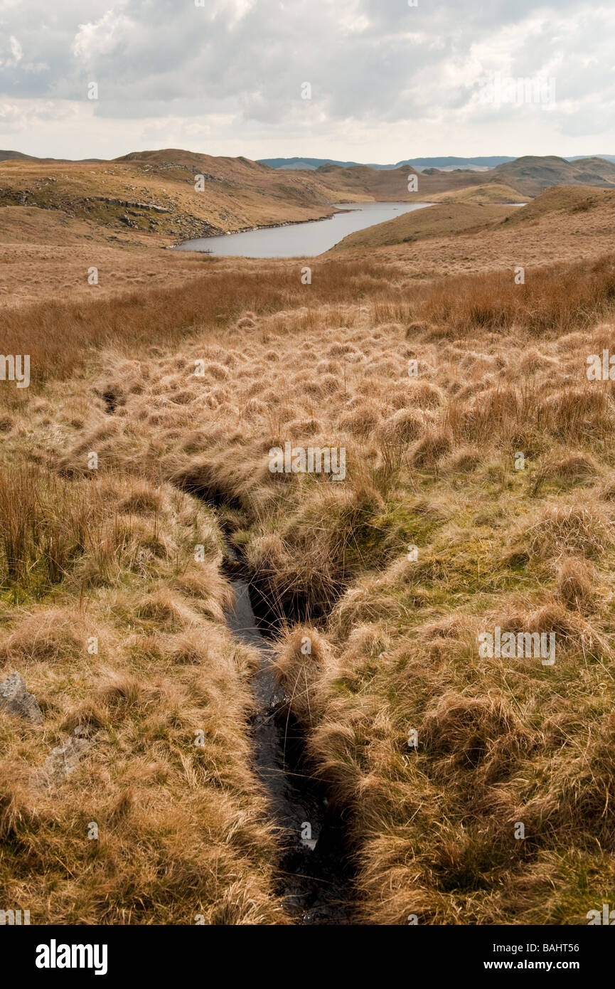 Upland paludosi che conduce a Llyn Teifi lago di montagna del Galles Ceredigion REGNO UNITO alla sorgente del fiume Teifi - "Deserto Verde' Foto Stock