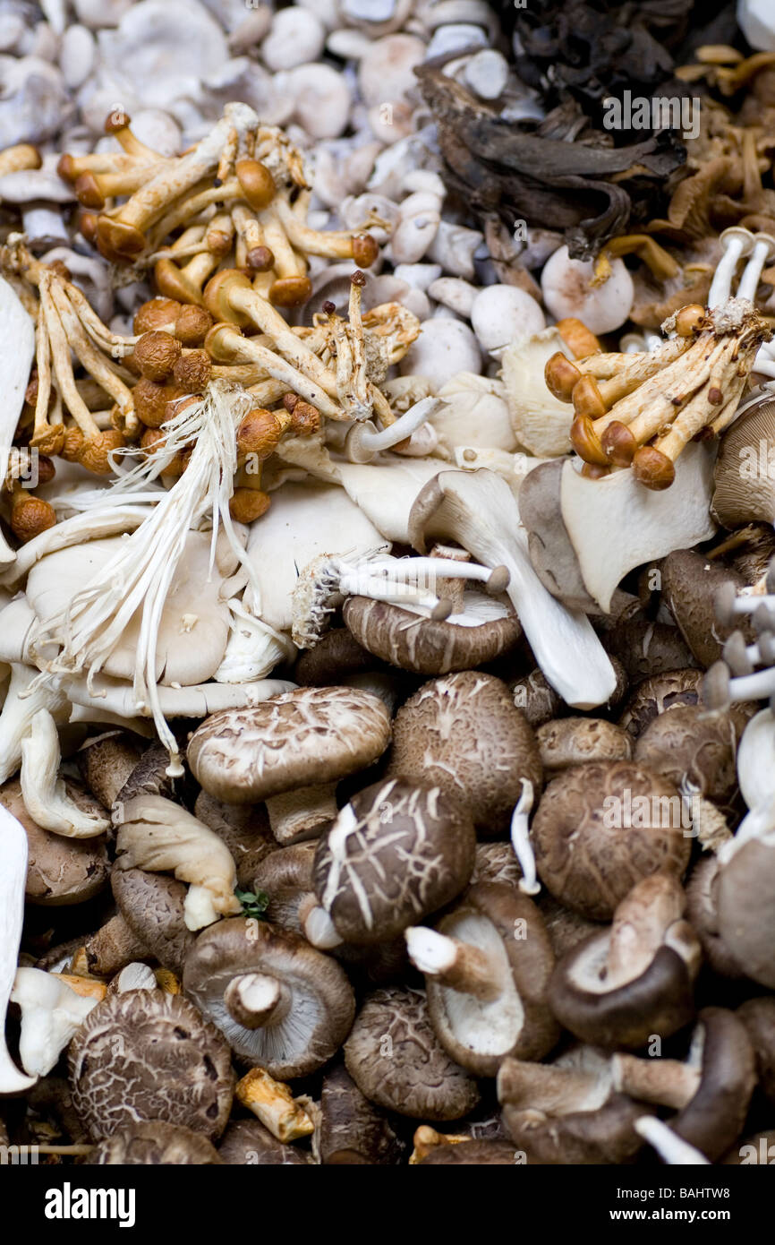 Funghi su una bancarella al mercato di Borough, London SE1 Foto Stock